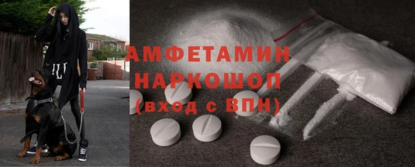 ECSTASY Алзамай