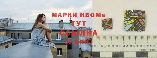 ECSTASY Алзамай