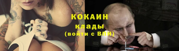 ECSTASY Алзамай