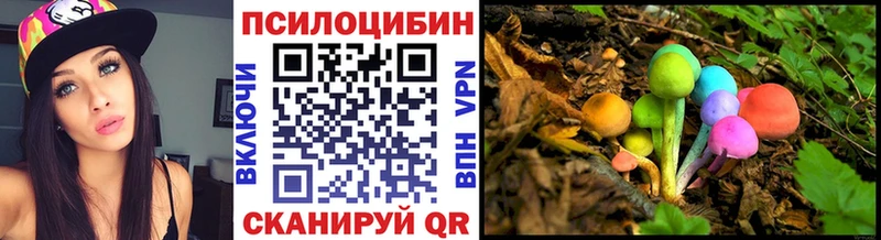 Галлюциногенные грибы MAGIC MUSHROOMS  кракен ТОР  Аркадак 